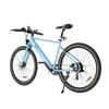 BK19 Road Electric Bike