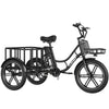 Hitway ELEKGO 03 Cargo E-Bike 48V 18Ah EGO 03 Electric Cargo Tricycle