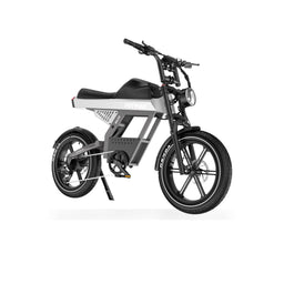 BK28 Fat Tyre Electric Bike