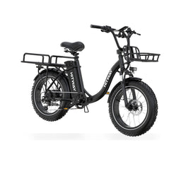 BK6S Plus Cargo Electric Bike