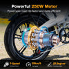 BK10S Folding Electric Bike