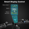 BK19 Road Electric Bike