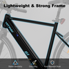 BK19 Road Electric Bike